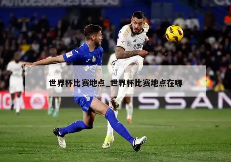 世界杯比赛地点_世界杯比赛地点在哪